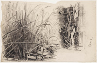 KT 1184
          <br/>
          Twee studies van een partij riet met waterlelies
          <br/>
          <em>Bastert, Nicolaas (1854-1939)</em>